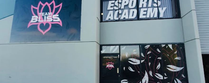 Team Bliss Esports