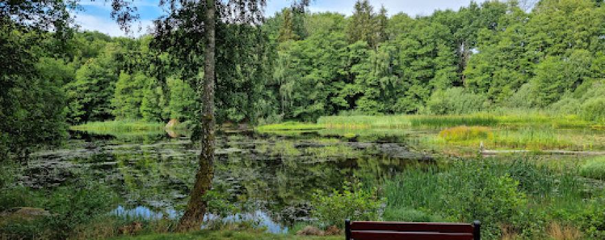 Ekfors naturstig