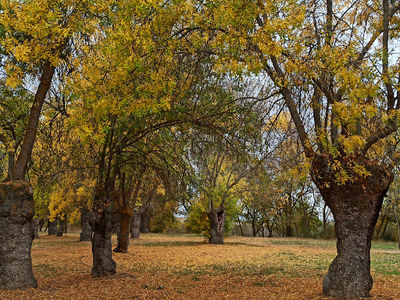 El Soto Natural Park