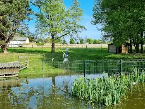 Little parc