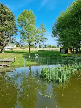 Little parc