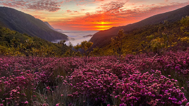 Rim of Africa - Cape Multi-day Hiking