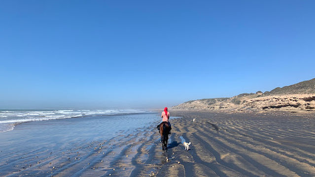 Horse Adventure Essaouira