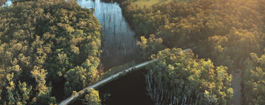 Wongi Waterholes Camping Area