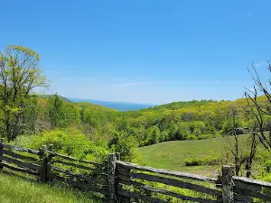 Pine Spur Overlook
