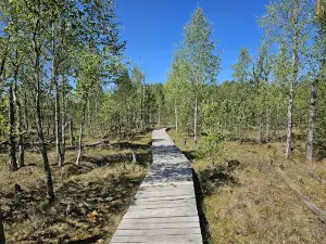 Dubrava Marsh Reserve