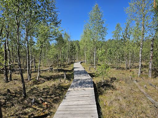 Dubrava Marsh Reserve