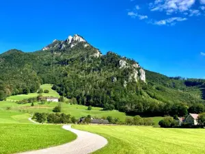 Rinnende Wand