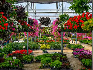 Strawberry Hill Farms