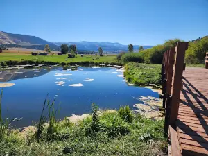 Smith's Trout Haven