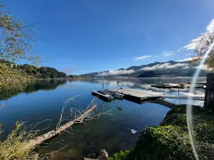 Triangle Lake Park