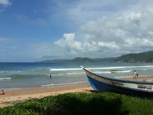 Playa arriba "Los Cocos"