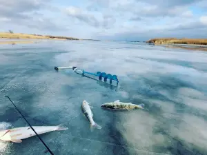 Dom Rybaka. Fishingdel'ta.rf