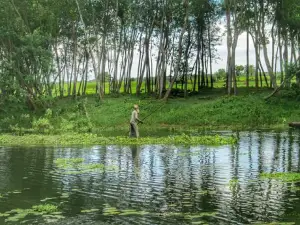 আড়পাড়া ইকো পার্ক