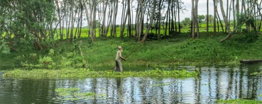 আড়পাড়া ইকো পার্ক