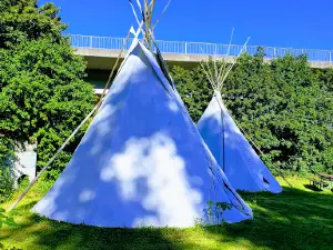 Campingplatz Neckargerach - ODENWALD river camp