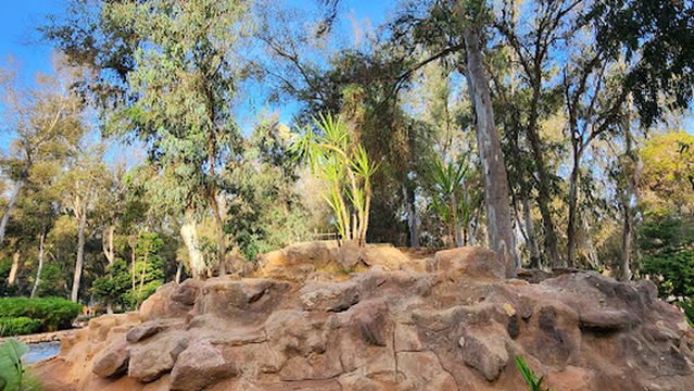 Urban Forest Ibn Sina "Hilton"