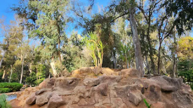 伊本•西娜-"希爾頓"城裡森林