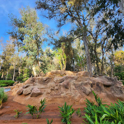 Urban Forest Ibn Sina "Hilton"