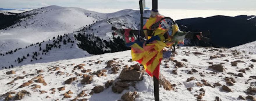 Gallina Pelada