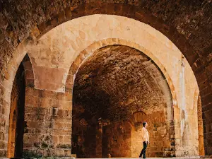 Ballarshah Fort