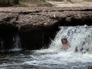 Dulhunty River, Cape York