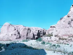 Poshhurt jome masjidi