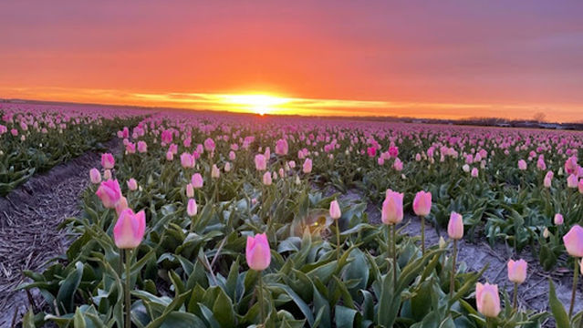 Camping Uitzicht Den Helder