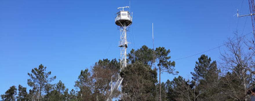 Castros de Trelle, Toén