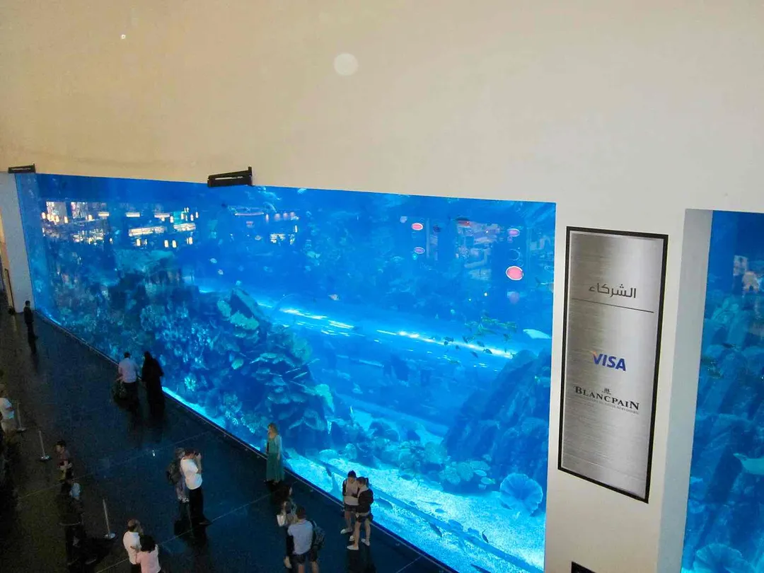 5_杜拜水族館和水下動物園