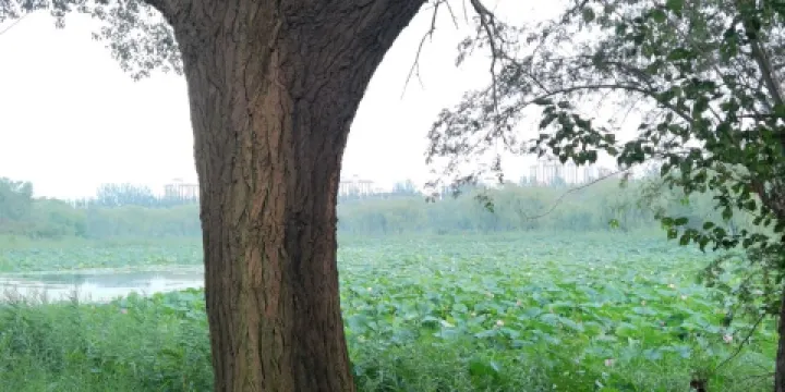 南湖公園-激戰鯊魚島