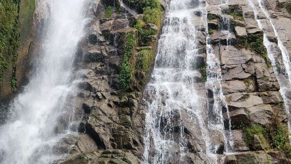 ping shi chong pu bu