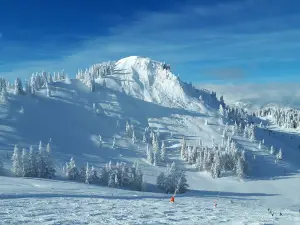 Snow Space Salzburg