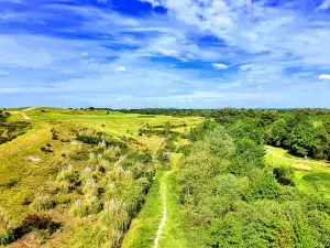 Forêt du Bourgailh