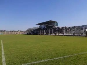 Federico Ibarra Stadium Campo pajoso