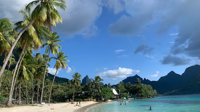 Plage tahiamanu