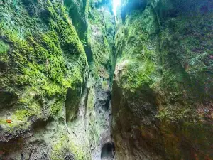 Volch'i Vorota