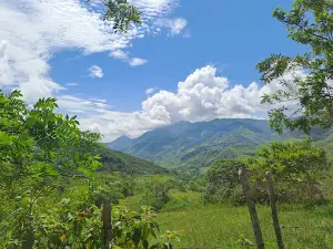 Quinchia, Principal Park