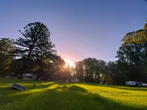 Coopernook Forest Camping Ground