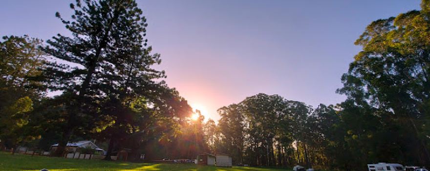 Coopernook Forest Camping Ground