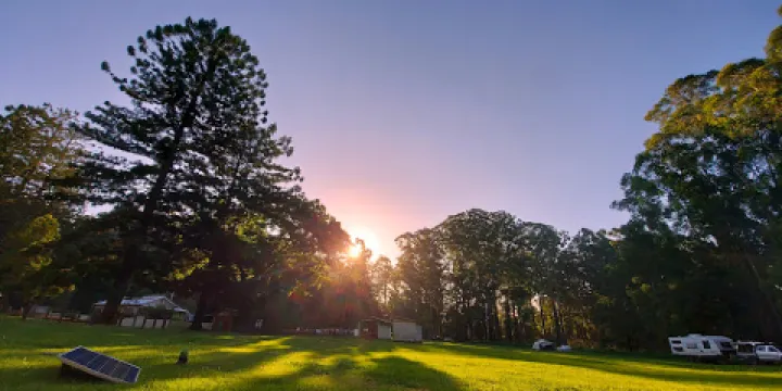 Coopernook State Forest