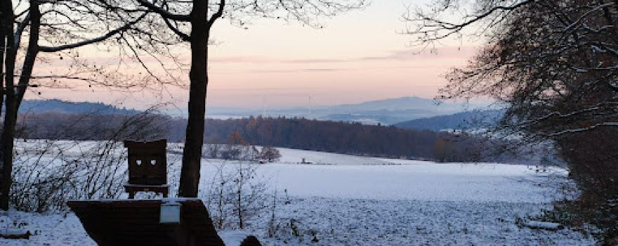 Naturerlebnis Bamster Wald
