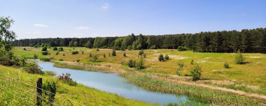 Ollerton Pit Wood