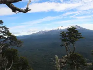 Mirador de los Volcanes - IX Región