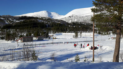 Skaret biathlon