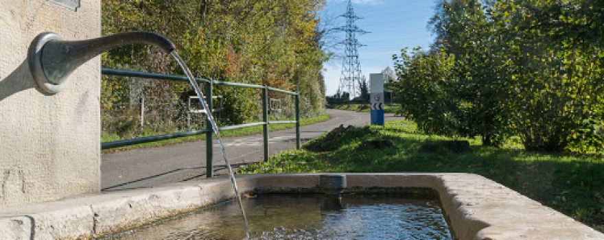 Finnenbahn Bottmingen