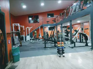 Performance Academia Nova Ipixuna