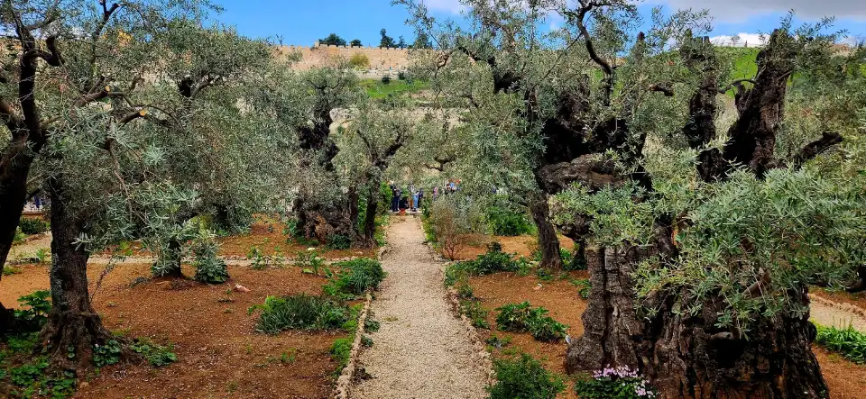4_Gethsemane