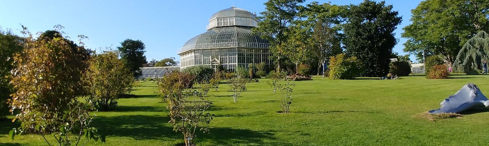 GlasnevinTour giornalieri