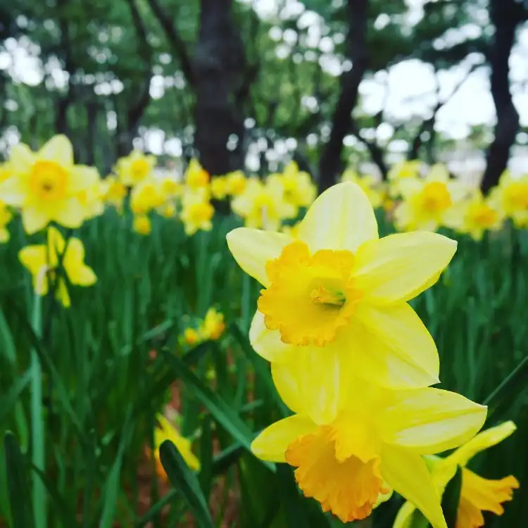 츠지도 해변 공원 주변 호텔